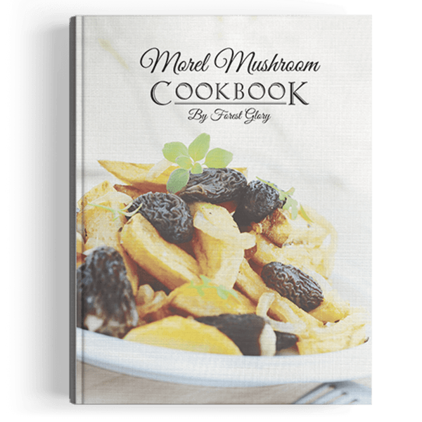 Morel Mushroom Cookbook