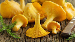 The French Dream, Golden Chanterelles, Temporarily Sold Out
