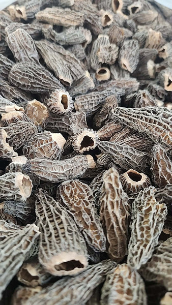 Morels- From Canada Eh! Beautiful, Flavorful, and Saverful.