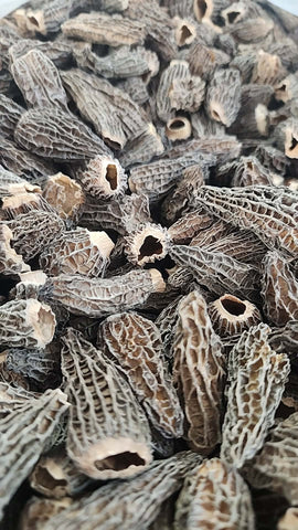 Morels- From Canada Eh! Beautiful, Flavorful, and Saverful.