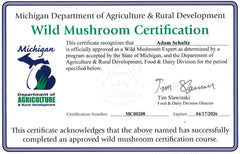 The Monthly Mushroom