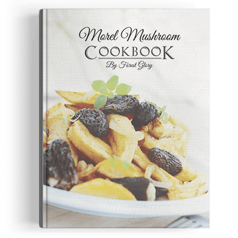 Morel Mushroom Cookbook