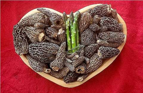 Valentine's Day Couples Special