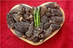 Valentine's Day Couples Special